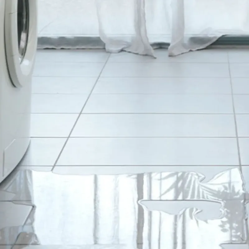 Appliance Leak Cleanup in Twin Lakes, WI