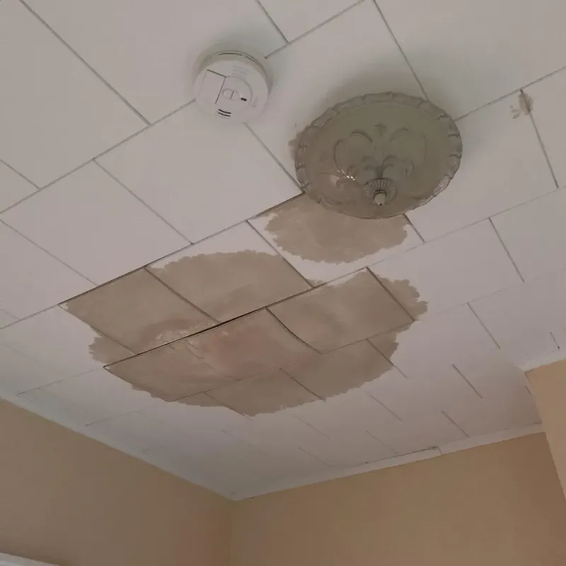 Ceiling Water Damage Repair in Twin Lakes, WI