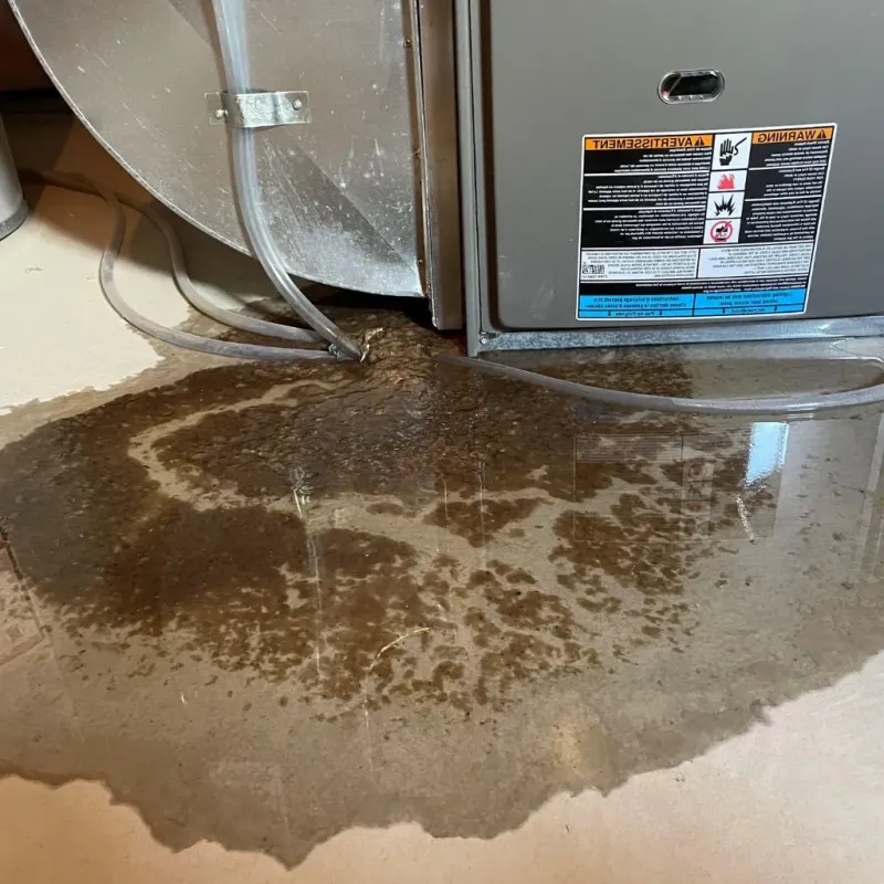 Pipe Burst and Leak Restoration in Twin Lakes, WI