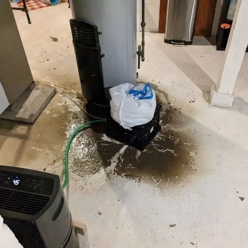 Sewage Backup Cleanup Service in Twin Lakes, WI